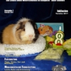Amuigos - Ausgabe 7 / Jahrgang 2017
