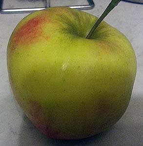 Artikelbilder: apfel.jpg