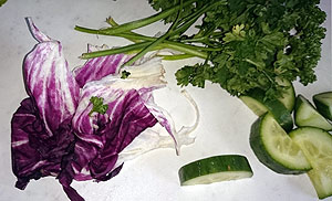 Artikelbilder: rad-gurke-silie.jpg Artikelbilder: rad-gurke-silie.jpg