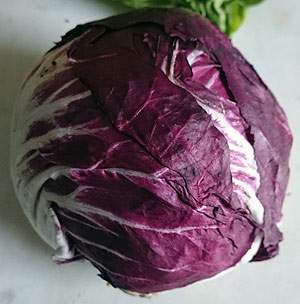 Artikelbilder: raddich.jpg Artikelbilder: raddich.jpg