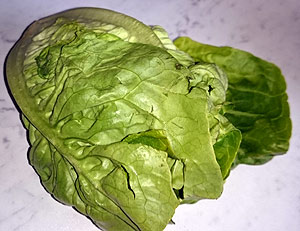 Artikelbilder: salat2.jpg Artikelbilder: salat2.jpg