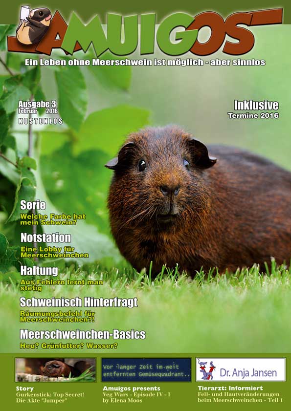 Newsbilder: amuigos3_vw_2016_cover.jpg Newsbilder: amuigos3_vw_2016_cover.jpg