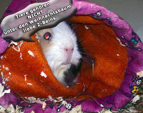 Newsbilder: lillu-meckern.jpg Newsbilder: lillu-meckern.jpg