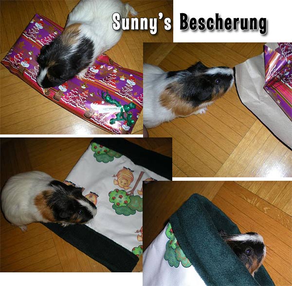 Newsbilder: sunnys-bescherung.jpg