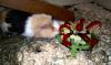 Klicken zum ansehen b-day-lwno2_t1.jpg