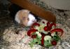 Klicken zum ansehen b-day-lwno3_t1.jpg