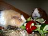 Klicken zum ansehen b-day-lwno5_t1.jpg