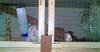 Klicken zum ansehen balou-lillu-0109_t1.jpg