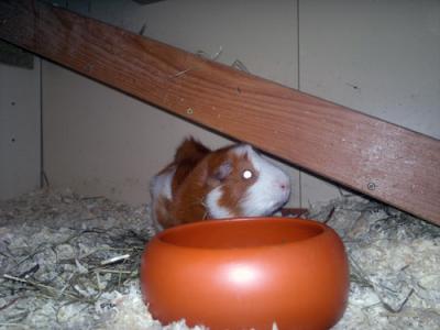03062011372.jpg