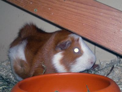 03062011374.jpg