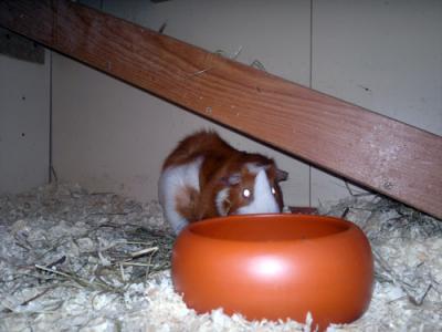 03062011376.jpg