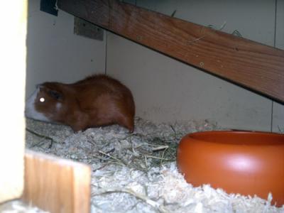 03062011377.jpg