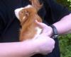 Klicken zum ansehen 07052011320_t1.jpg