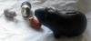 Klicken zum ansehen big-mama-and-friends2-k_t1.jpg
