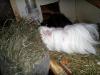 Klicken zum ansehen 28022011100_t1.jpg
