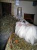 Klicken zum ansehen 28022011102_t1.jpg