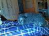 Klicken zum ansehen tinchen01-0902_t1.jpg