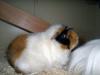 Klicken zum ansehen 18022011040_t1.jpg