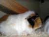 Klicken zum ansehen 18022011041_t1.jpg