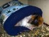 Klicken zum ansehen lisel-kuschelsack_t1.jpg